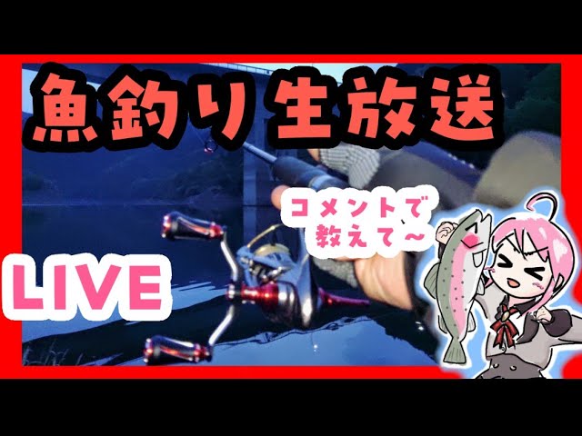 湖で魚釣り生放送やります！教えて下さい!! 🎣ԅ( ˘ω˘ ԅ)#トラウト #ネイティブトラウト #ライトゲーム #VTuber #魚釣り #fishing #Vチューバー 2026.05.24