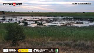 VIDA Laguna en el Paisaje Inesperado 🔴 DIRECTO (Cámara 85 | Guadalajara)