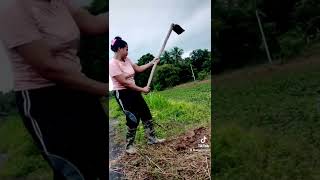 Download lagu hai sahabat 😘 mp3 Download lagu hai sahabat 😘 mp3