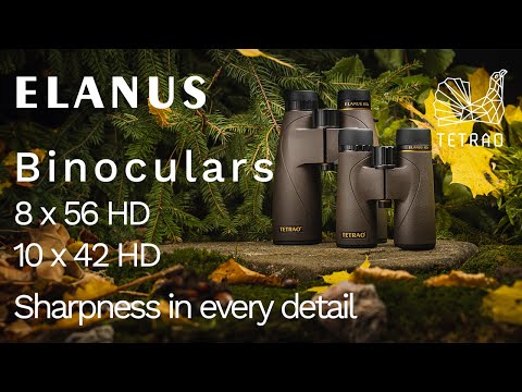 TETRAO ELANUS - Sharpness in every detail 🦅🔍 UNBOXING binoculars