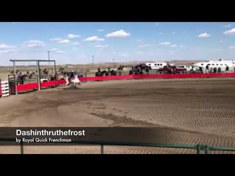 Dashinthruthefrost - Setting an arena record!