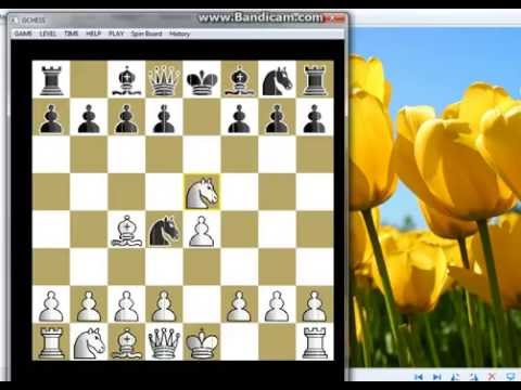Italijanska partija -  Kostic gambit 5.... c3 pokusaj KOZELEK vs HOLZMAN  #104 sah i mat