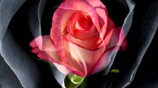 Another you, another me