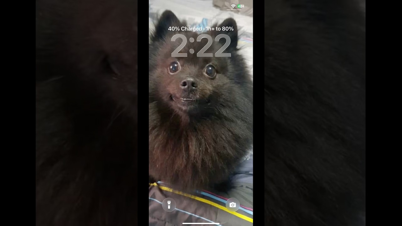 5 TREASURES OF FOUNTAIN OF YOUTH