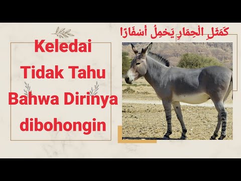 Wahabi KW ternyata hanya taqlid buta terhadap ustad²nya