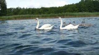 Mazury: Vangelis - Messages