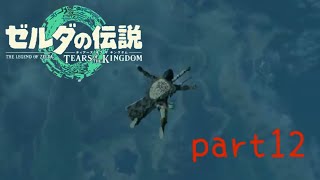 【ティアーズオブザキングダム】〜恐怖！謎の生物に襲われる〜美空の実況#12