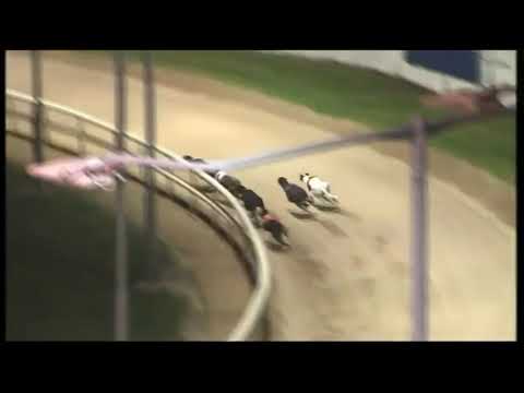 Macaroon Cruz - The Michael Fortune Memorial Derby Plate Round 2