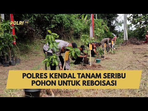 POLRES KENDAL TANAM SERIBU POHON UNTUK REBOISASI
