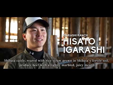 新発田市観光動画（新発田牛編）