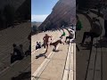 Man RUNS BACKWARDS down #RedRock STAIRS with #dog I #shorts