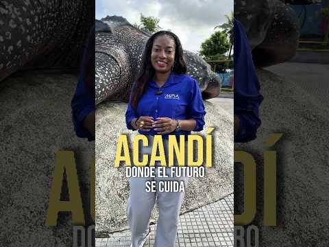 Acandí, el rincón verde del Chocó