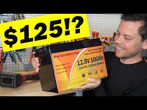 $125 100Ah LiFePO4 a Scam?! Or Actually Good?