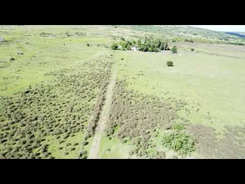 Campo 106 hectáreas poblado Colón Lavalleja