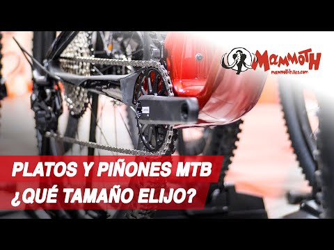Platos y piñones para MTB ¿Qué tamaño elegir?
