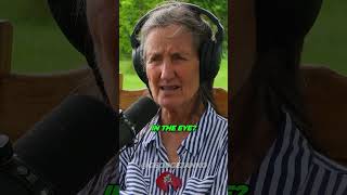 Download lagu The Secret Power of Castor Oil... mp3 Download lagu The Secret Power of Castor Oil... mp3