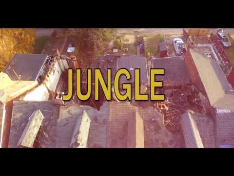 Dizzle - Jungle Remix (Official Music Video)