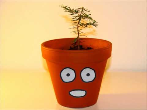 Rozvoj ekologickej aplikácie iForest