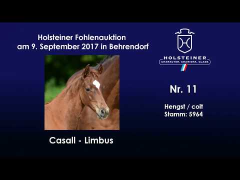 Nr. 11 v. Casall - Limbus