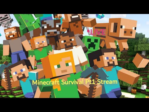 Minecraft-Pt 1 survival Stream
