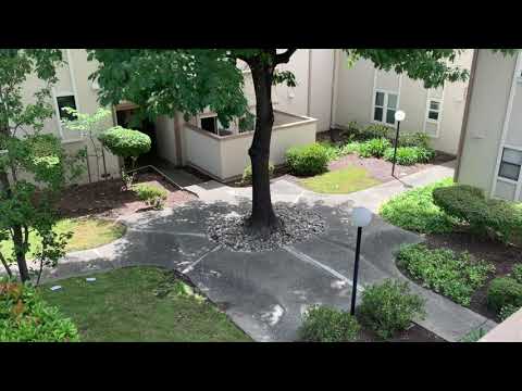 Virtual Tour - 385 Camelback Rd. #21 in Pleasant Hill