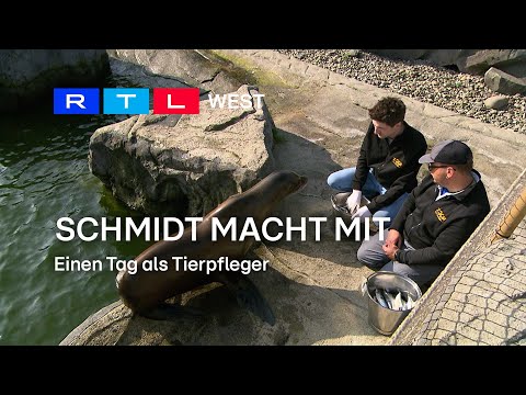 Schmidt macht mit: Einen Tag als Tierpfleger | RTL WEST