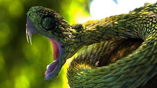 ✔ VÍBORA DE ARBUSTOS ESPINOSOS - La serpiente que debes evitar en África Central - Atheris hispida 🐍
