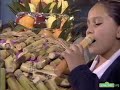 Sesame Street Elmo S Reporter