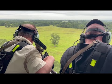 HeliBacon offers helicopter hog hunts with machine guns