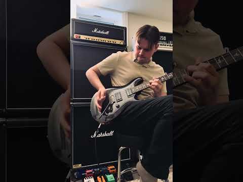 PRS SE Custom 24 2020 - 2023 - Charcoal Burst image 3