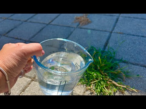 Just 1 drop and the weeds dry instantly! Brutally efficient!