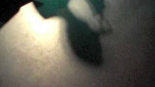 Acoustic song "the garden of love" by William Blake