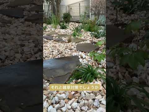 果樹の根元に砂利を置く：いつ、どのように置くのですか？  庭園