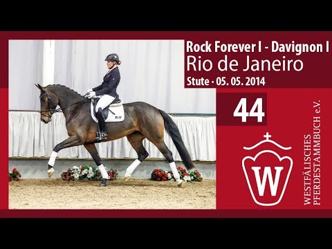 44 Rio de Janeiro Stute v. Rock Forever I - Davignon I
