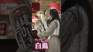 Download lagu 白鳥（サン＝サーンス）|#ユーフォニアム #ピアノ mp3