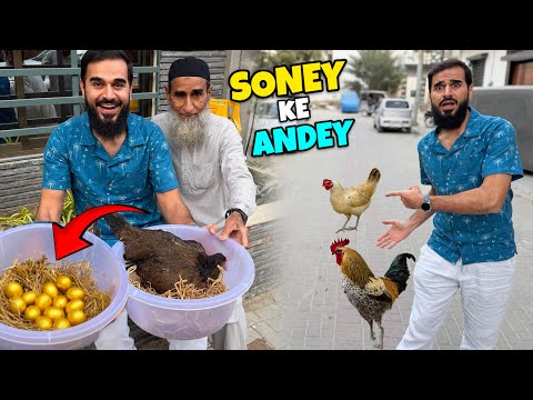 MOST EXPENSIVE EGGS 😍 ABUJI NE MERI CLASS LEY LI 😳