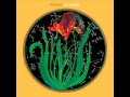 Vetiver -Everyday
