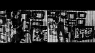 The Stargazer Lilies "The Light of Day"