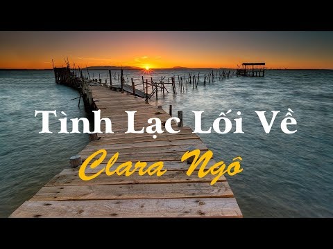Tình lạc lối về Sheet - Clara Ngo