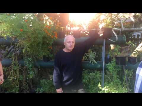 Michael Mobbs Sustainable House