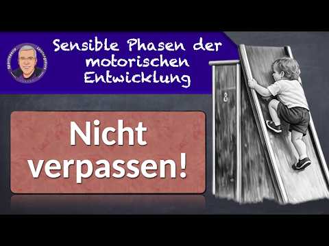 Sensible Phasen der motorischen Entwicklung