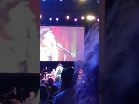 mickey Dolenz  tribute to monkeys concert