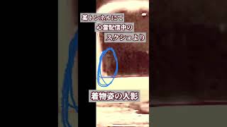心霊配信中のスクリーンショットに写った人影…巨大な顔も映り込んだ#おすすめ #shorts #short #心霊 #心霊スポット #心霊写真 #ホラー #ブルーマイズ