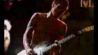 Red Hot Chili Peppers - Easily (Live)