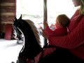 Central Park Carousel