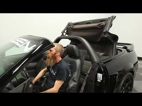 2004 Ford Mustang Saleen S281 SC (CC-1050681) for sale in Lutz, Florida