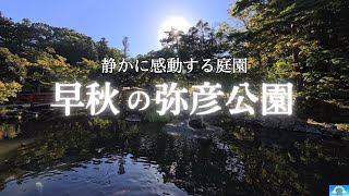[Yahiko Village] Take a leisurely stroll through Yahiko Park in early autumn.