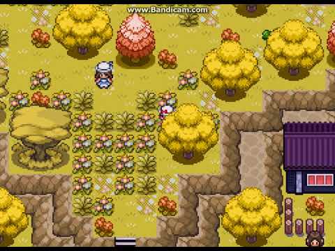 Pokemon Rejuvenation v9 Lost camp orphan locations (EV REDUCING BERRIES)