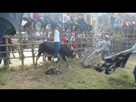 Jaripeo. San Felipe El Porvenir, 5 de febrero 2017