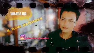 Download lagu What's up 4 non blondes ( cover ) by dens gonjalez mp3